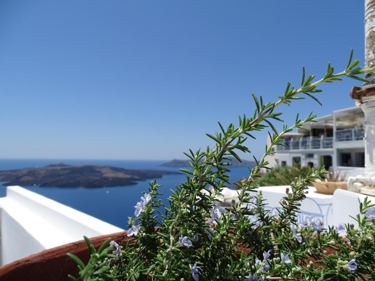 Neoklassiko Koukouli 4* Тира